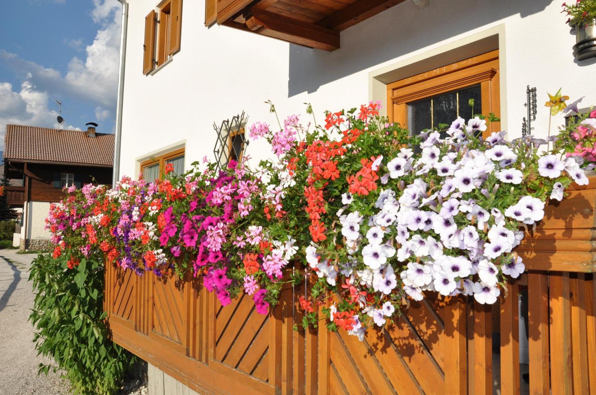 Appartements Wiesenheim Rasun di Sopra Exterior foto