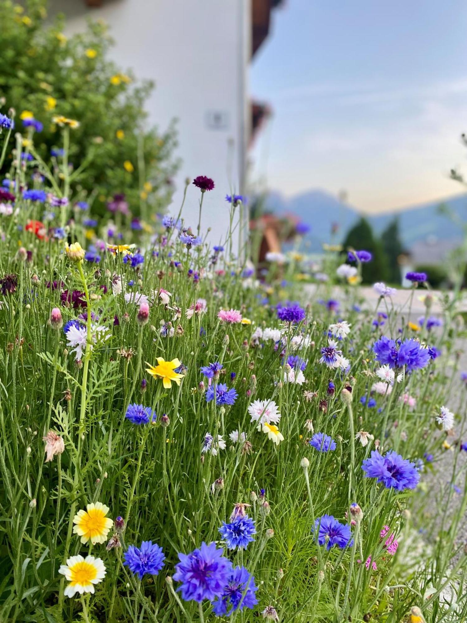 Appartements Wiesenheim Rasun di Sopra Exterior foto
